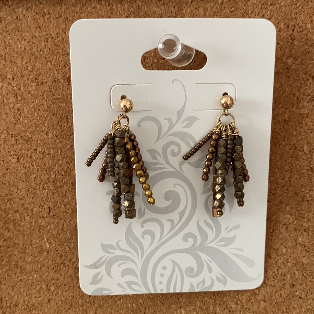 Beautiful Beads Earrings
